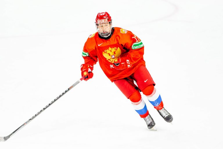 Matvejs Mičkovs, hokejazinas