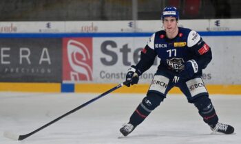 Nils Sējējs, Hokejazinas.com