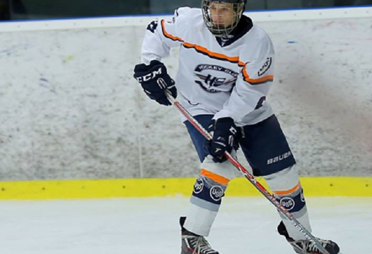 Dominiks Matoņaks, hokejazinas.com