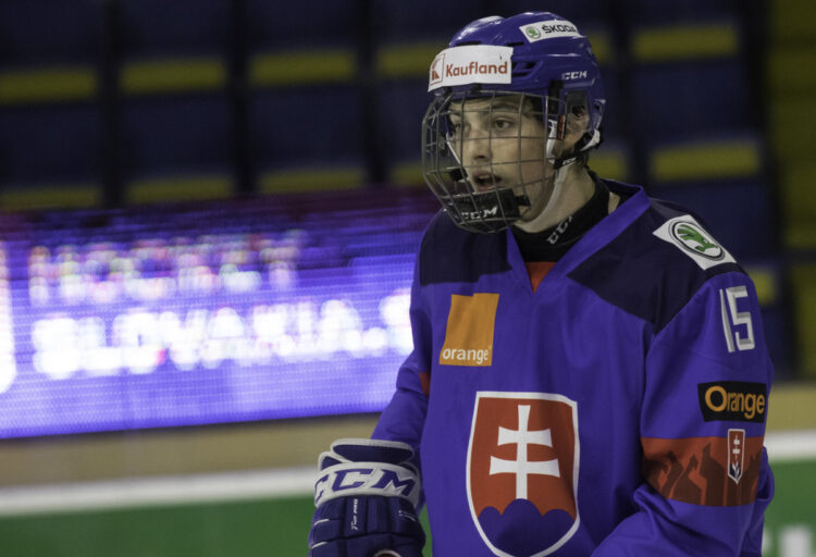 Dalibors Dvorskis, hokejazinas.com