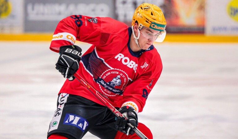 Daniels Bērziņš, hokejazinas.com