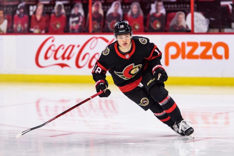 Tims Štucle, hokejazinas.com