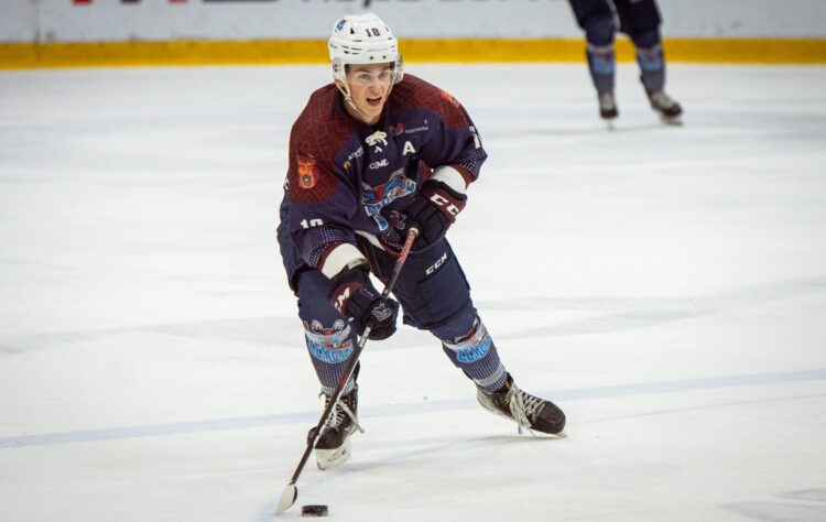 Daniels Goršanovs, hokejazinas.com