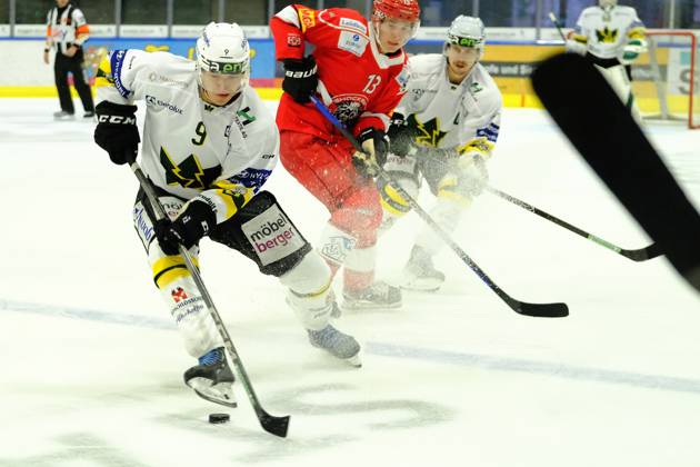 Rihards Melnalksnis, Hokejazinas.com