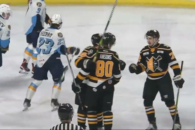 Raivis Ansons, hokejazinas.com