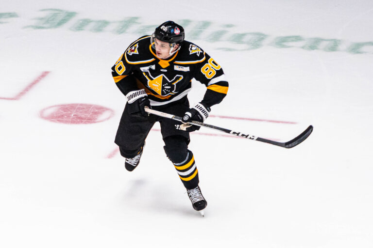 Raivis Ansons, hokejazinas.com