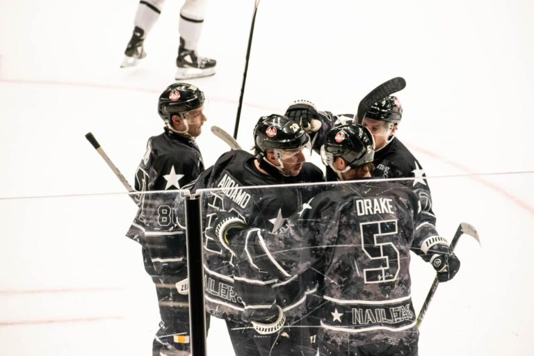 Raivis Ansons, hokejazinas.com