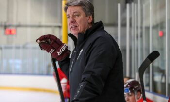 Harijs Vītoliņš, hokejazinas.com