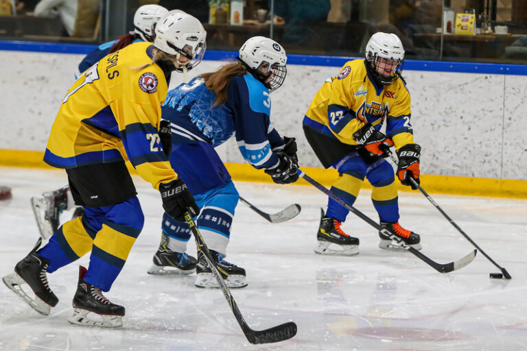 Baltijas sieviešu hokeja līga, Hokejzinas.com