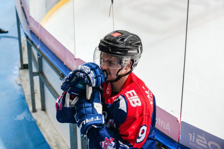 Deniss Fjodorovs, hokejazinas.com