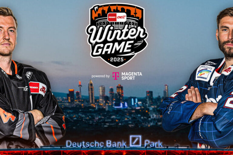 DEL Winter Game poster, Hokejazinas.com