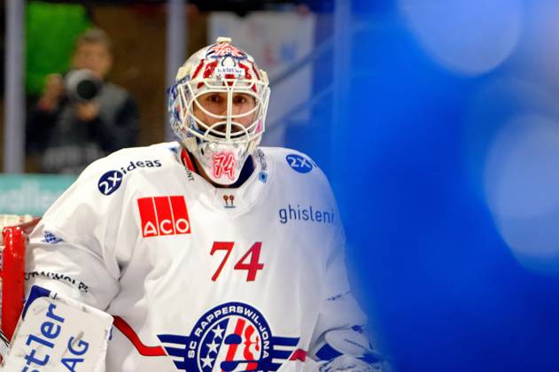 Ivars Punnenovs, hokejazinas.com