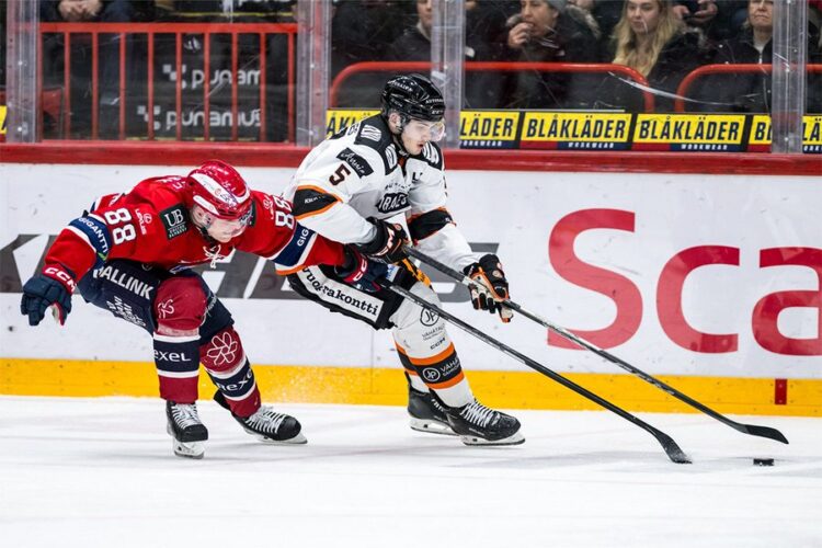 Artūrs Andžāns, hokejazinas.com