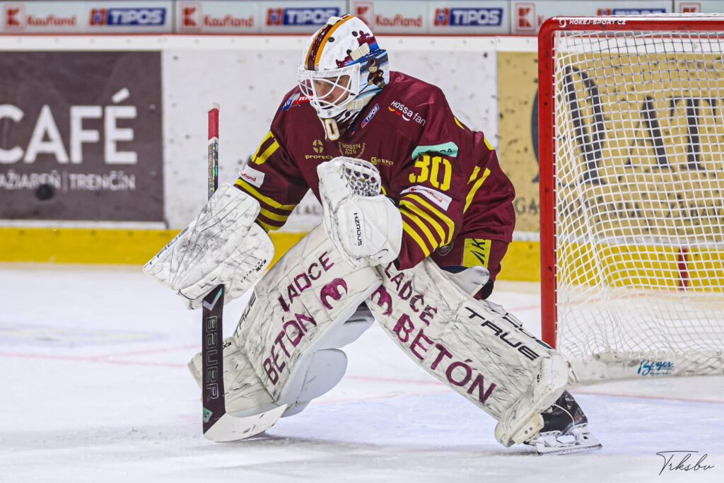 Gustavs Dāvis Grigals, Hokejazinas.com