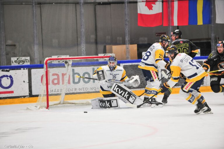 Jānis Fecers, Hokejazinas.com