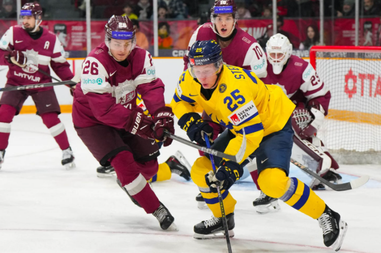 Oskars Nils Briedis, hokejazinas.com