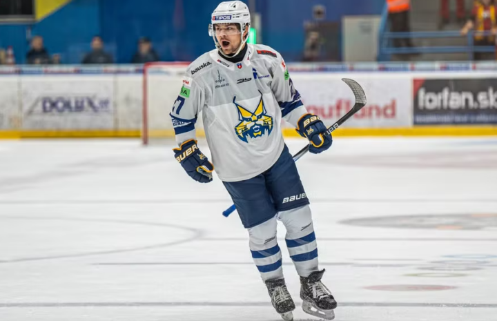 Zeks Andrušaks, Hokejazinas.com