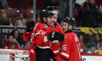 Sandis Vilmanis, hokejazinas.com