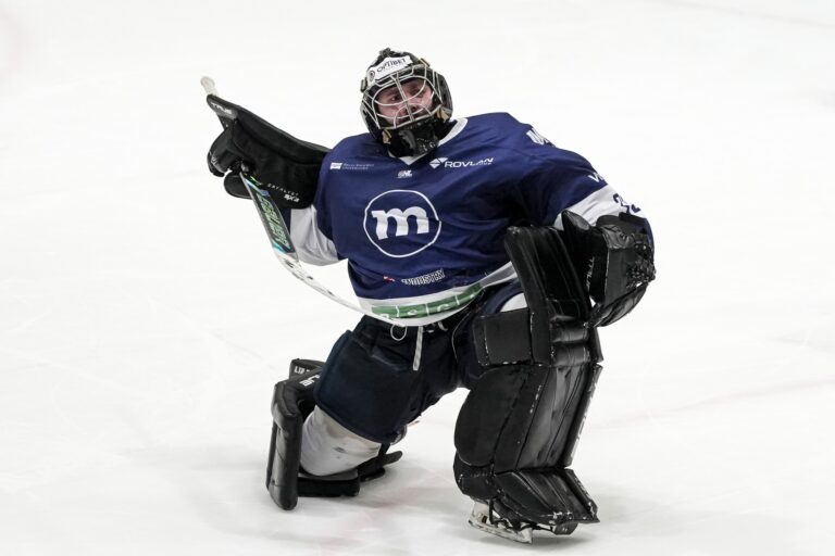 Henrijs Ančs, hokejazinas.com