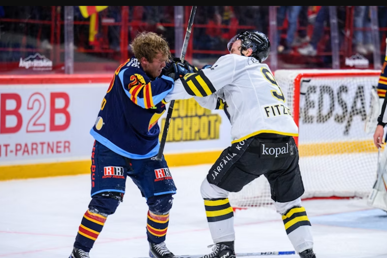 Stokholmas Djurgarden vs Solnas AIK, Hokejazinas.com