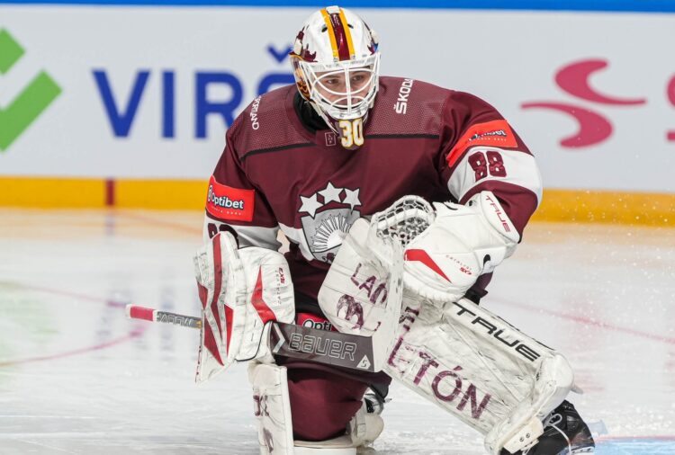 Gustavs Dāvis Grigals, Hokejazinas.com