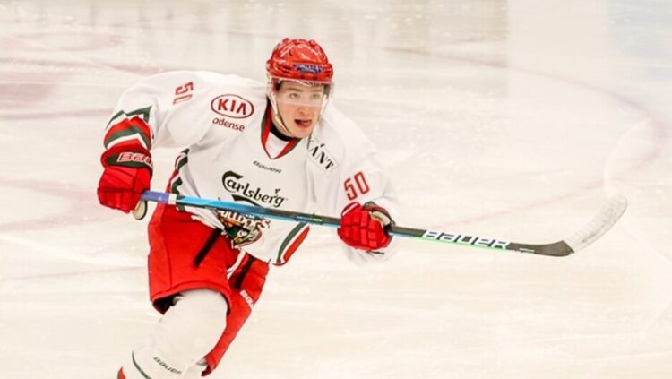 Georgs Golovkovs, Hokejazinas.com
