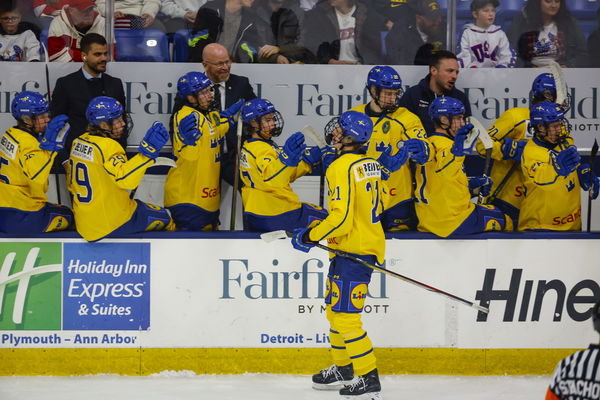 Ivars Stenbergs, hokejazinas.com