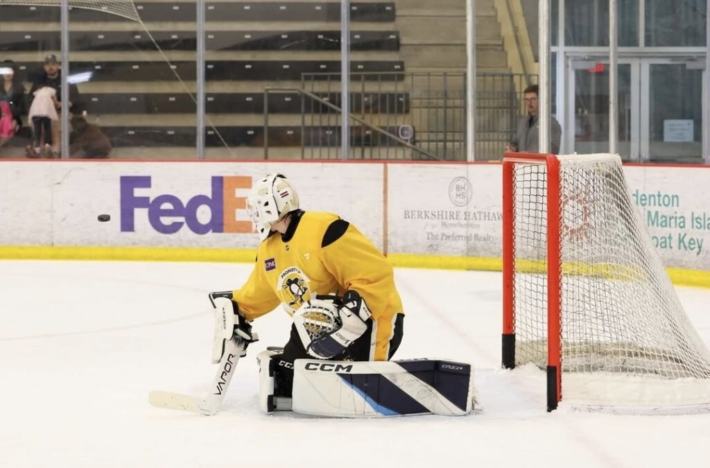 Linards Feldbergs, hokejazinas.com