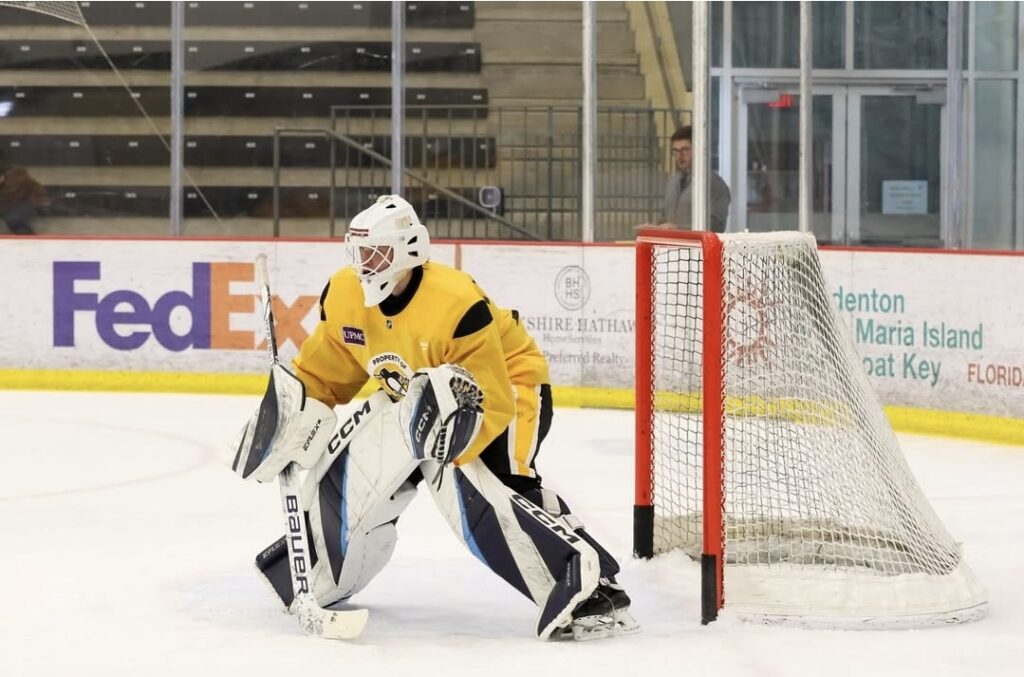 Linards Feldbergs, hokejazinas.com