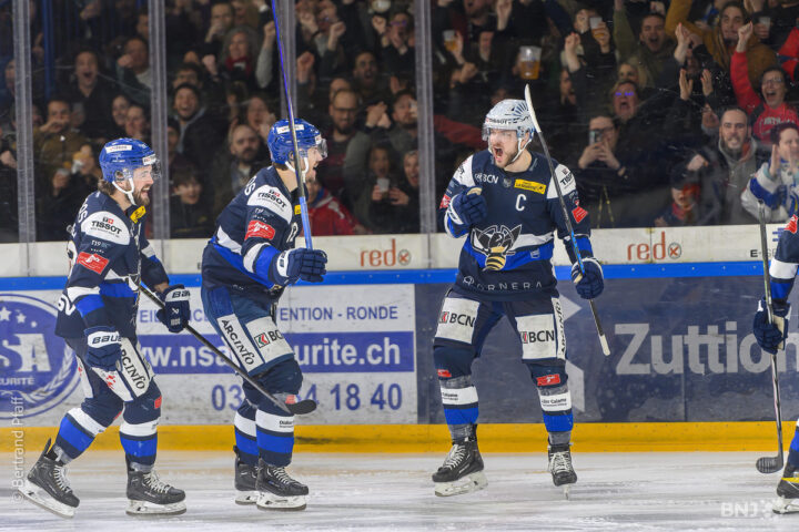 Toms Andersons, Hokejazinas.com