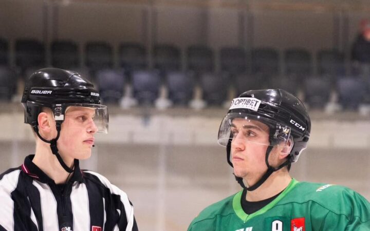 Deniss Hončarenko, Hokejazinas.com