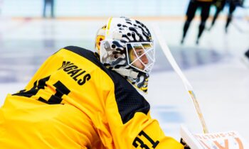 Gustavs Dāvis Grigals, Hokejazinas.com