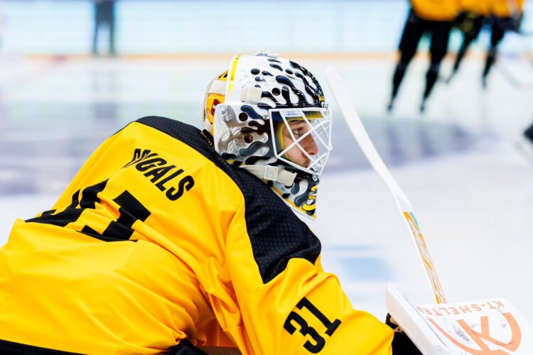 Gustavs Dāvis Grigals, Hokejazinas.com