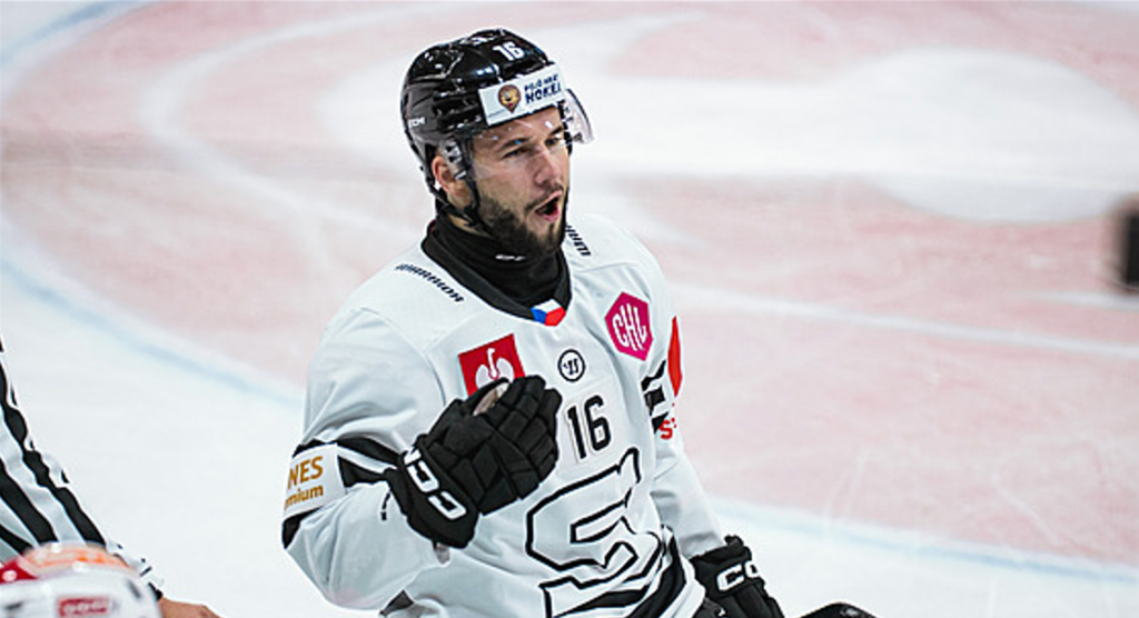 Mārtiņš Dzierkals, Hokejazinas.com