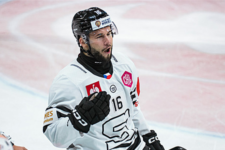 Mārtiņš Dzierkals, Hokejazinas.com