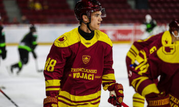 Raimonds Vītoliņš, hokejazinas.com