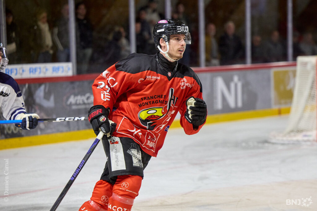 Nils Sējējs, Hokejazinas.com