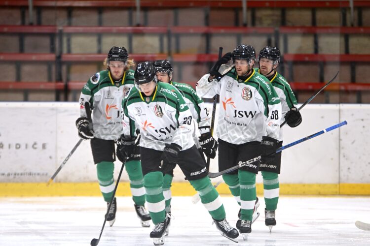 Daniels Bērziņš, hokejazinas.com