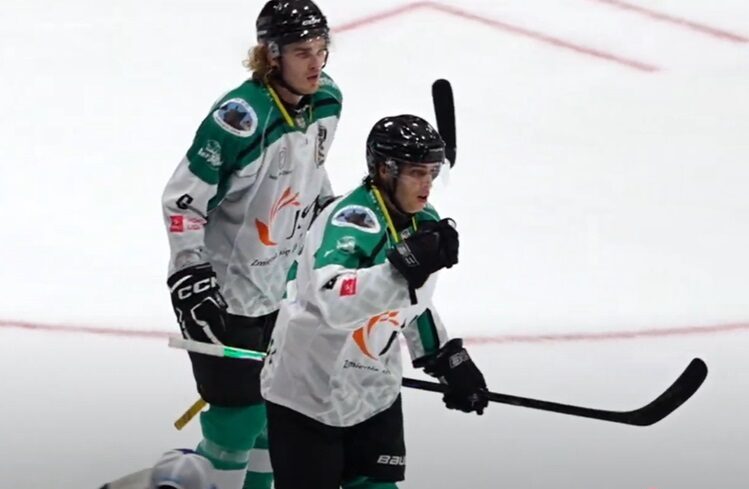 Daniels Bērziņš, hokejazinas.com