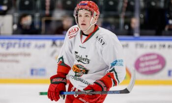 Georgs Golovkovs, Hokejazinas.com