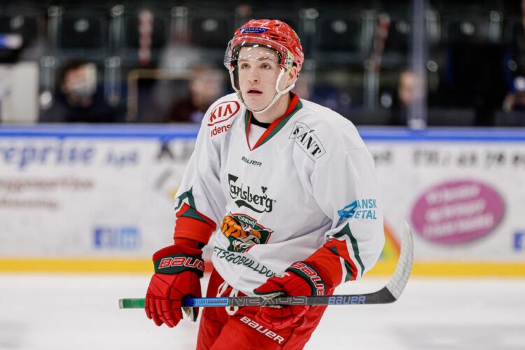 Georgs Golovkovs, Hokejazinas.com