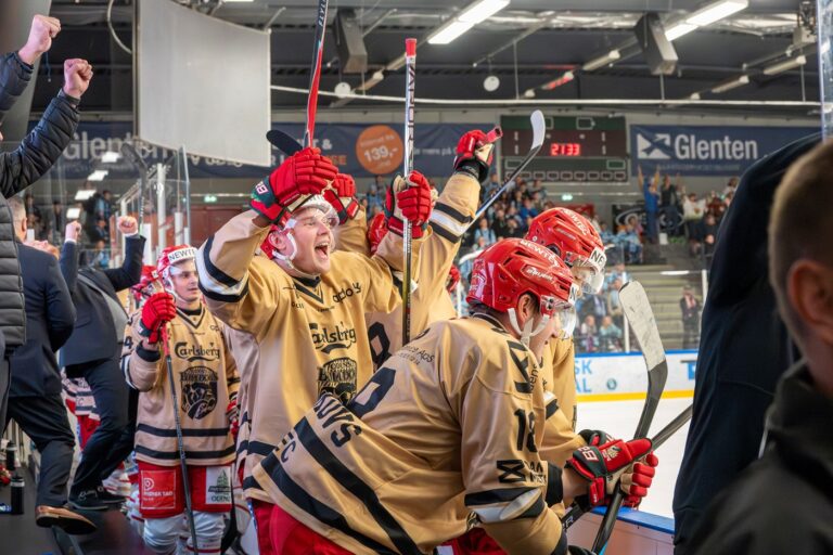 Georgs Golovkovs, Hokejazinas.com