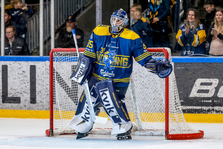 Jānis Fecers, Hokejazinas.com