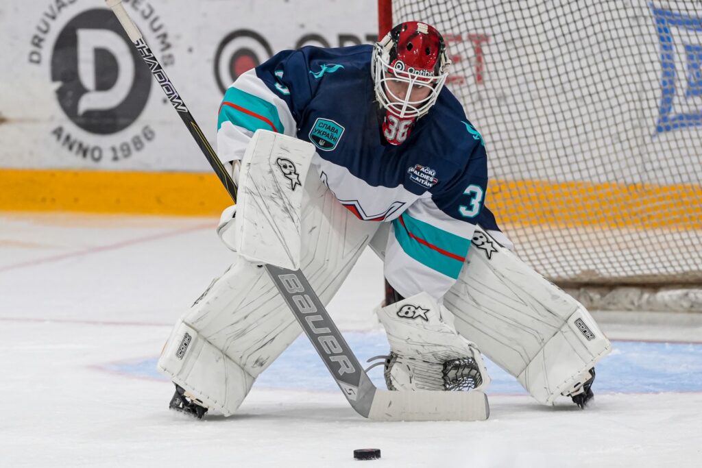 Jānis Voris, hokejazinas.com