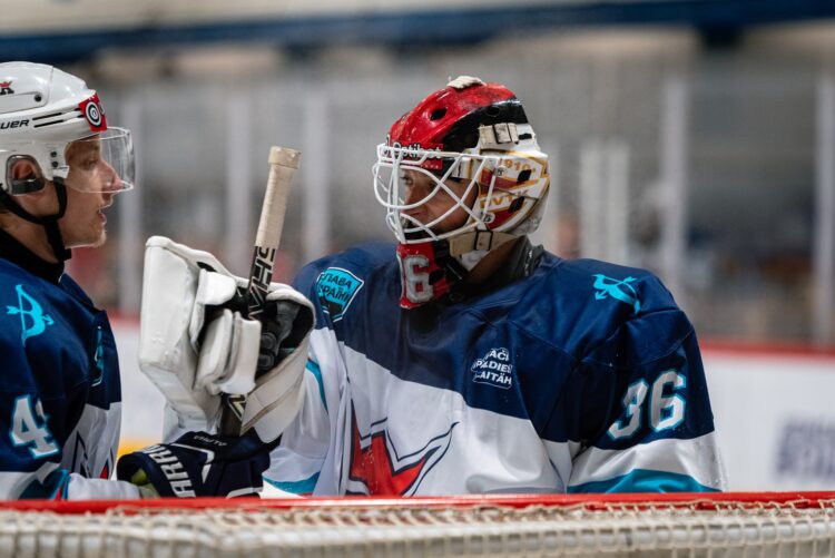 Jānis Voris, hokejazinas.com