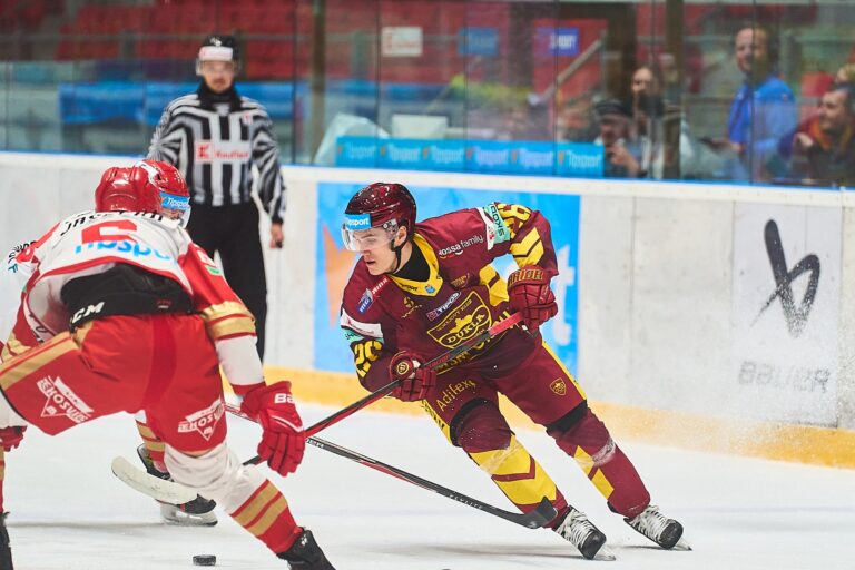 Raimonds Vītoliņš, hokejazinas.com