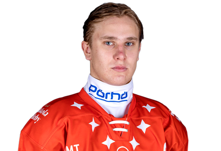 Valdis Dommers, Hokejazinas.com