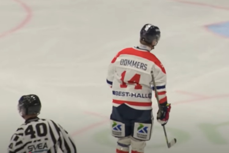 Valdis Dommers, Hokejazinas.com