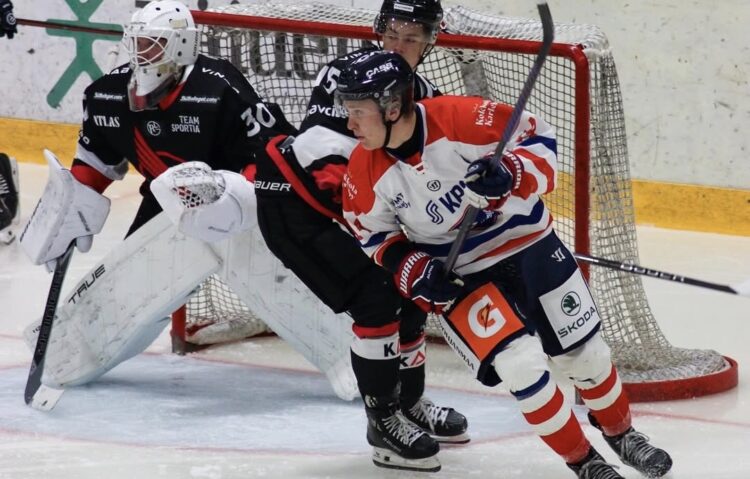 Valdis Dommers, hokejazinas.com