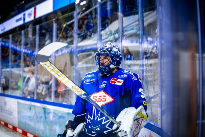 Jūliuss Hudačeks, Hokejazinas.com